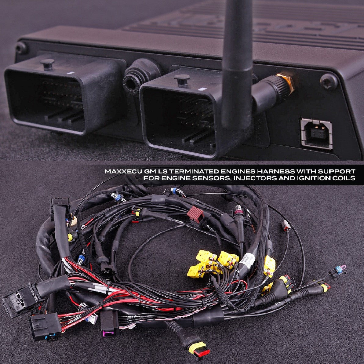 MaxxECU Race - Complete GM LS ECU & Harness Package