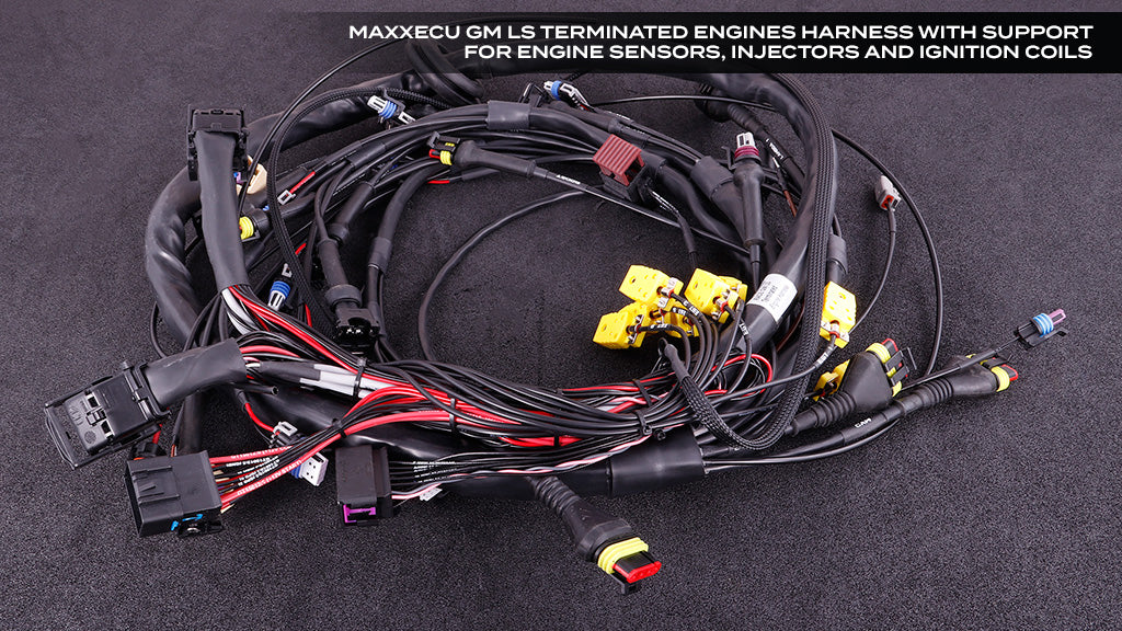 MaxxECU Race - Complete GM LS ECU & Harness Package